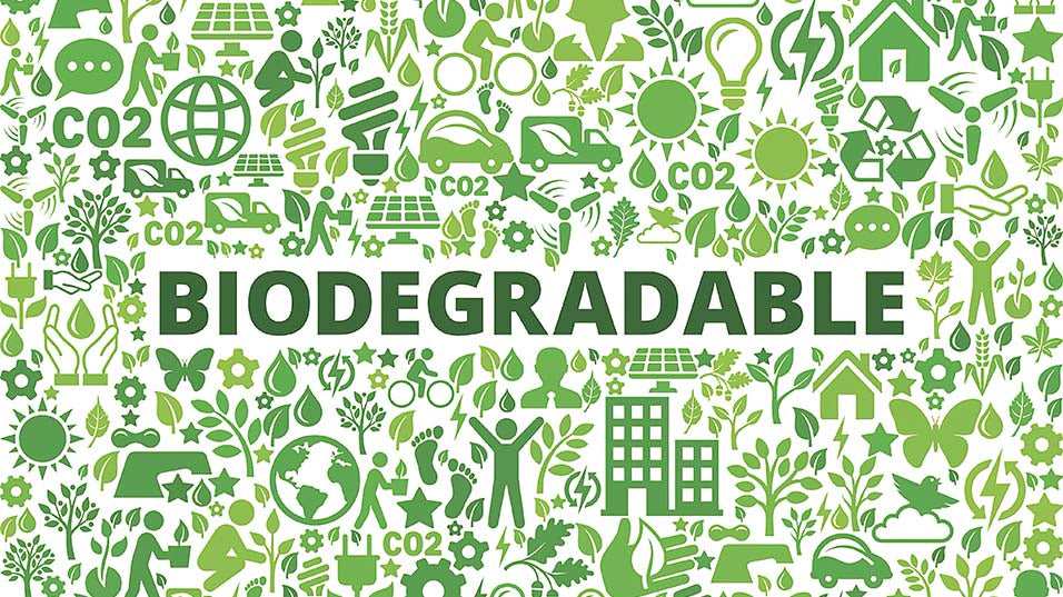 Are There Truly Biodegradable Baby Wipes? How Can You Tell?